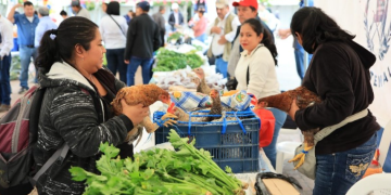 Durante la feria del agricultor, los asistentes podrán encontrar una amplia oferta de productos frescos como verduras, frutas y legumbres recién cosechadas. / Foto: MAGA