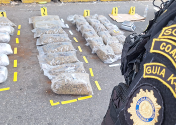 PNC incauta 32 paquetes de marihuana escondidos en una caja de plátanos. (Foto: PNC)