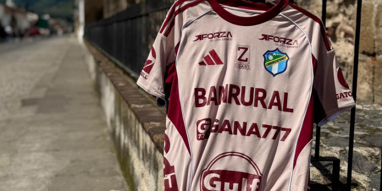 ¿Comunicaciones descendió en el Apertura 2025?