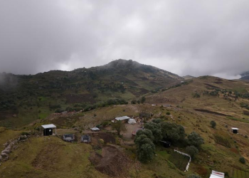 MAGA refuerza vigilancia en 107 municipios por posibles heladas. (Foto: MAGA)