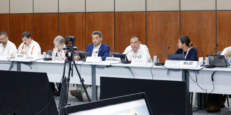 Guatemala participó en el lanzamiento del Corredor Biocultural de la Gran Selva Maya durante la COP30. (Foto: Conap)