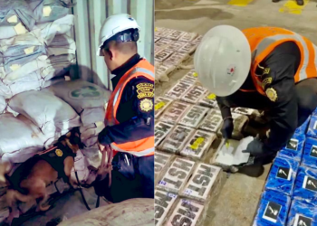 Destacan compromiso binacional en la seguridad portuaria. / Foto: X @usembassyguate.