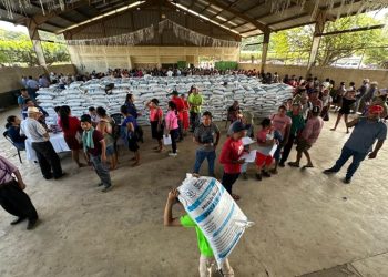 Avanza la entrega de fertilizante del Programa de Intervenciones 2025 en Retalhuleu