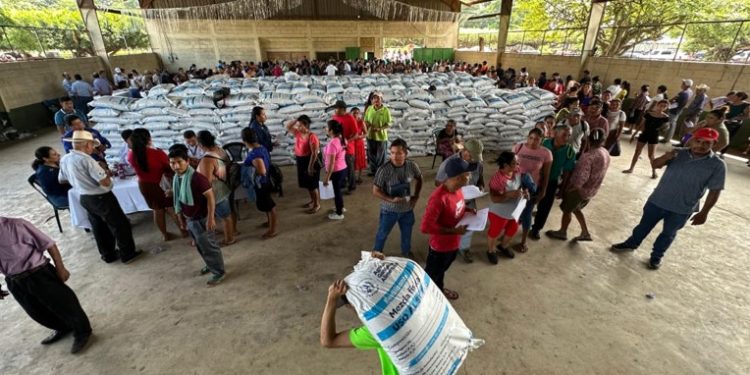 Avanza la entrega de fertilizante del Programa de Intervenciones 2025 en Retalhuleu