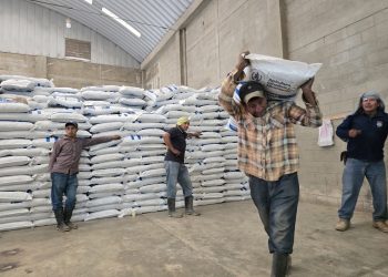 Supervisan la entrega de fertilizantes en Quezaltepeque, Camotán y Olopa