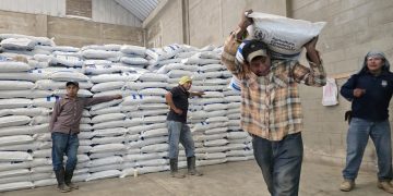 Supervisan la entrega de fertilizantes en Quezaltepeque, Camotán y Olopa