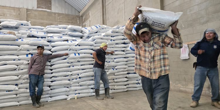 Supervisan la entrega de fertilizantes en Quezaltepeque, Camotán y Olopa