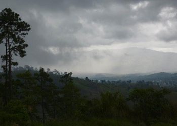 El MAGA informó que mantiene un monitoreo constante en los municipios expuestos a estas variaciones climáticas. / Foto: MAGA