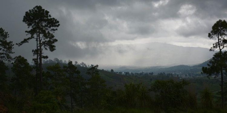 El MAGA informó que mantiene un monitoreo constante en los municipios expuestos a estas variaciones climáticas. / Foto: MAGA