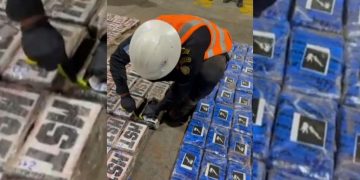 Las fuerzas de seguridad inspeccionaron un contenedor proveniente de Puerto Caldera, Costa Rica, en el cual se localizaron 292 paquetes con presunta cocaína. / Foto: PNC