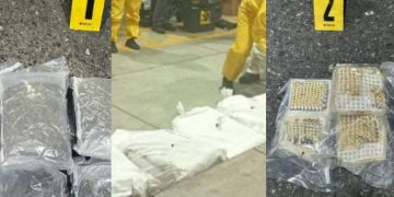 Decomiso de marihuana en el puerto Santo Tomás de Castilla. / Foto: PNC