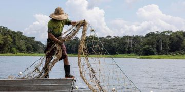 El consumo de alimentos de origen acuático es bajo en América Latina y el Caribe, señala la FAO con motivo del Día Internacional de la Pesca.