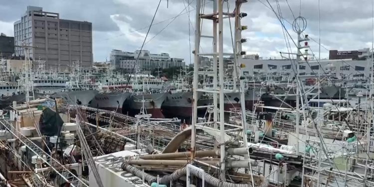 Decenas de barcos pesqueros permanecen anclados en el puerto de la ciudad de Kaohsiung, ante la inminente llegada del tifón Fung-wong. /Foto: captada de un video de EFE