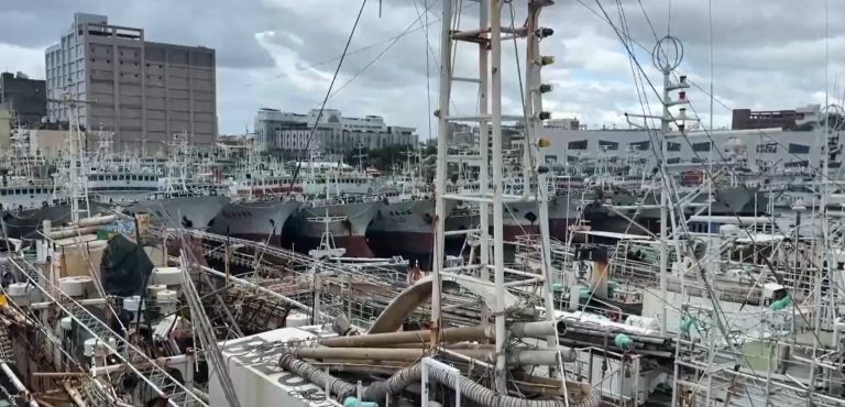 Decenas de barcos pesqueros permanecen anclados en el puerto de la ciudad de Kaohsiung, ante la inminente llegada del tifón Fung-wong. /Foto: captada de un video de EFE