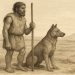 El perro, "mejor amigo" del hombre desde hace más de 10.000 años