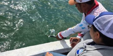 La jornada de pesca científica servirá para analizar especies y fortalecer decisiones técnicas de conservación.