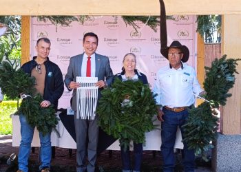 Arrancan las Ferias del Pinabete 2025 para promover la conservación y el consumo responsable. (Foto: Conap)