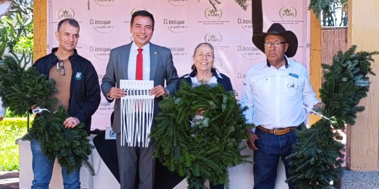 Arrancan las Ferias del Pinabete 2025 para promover la conservación y el consumo responsable. (Foto: Conap)