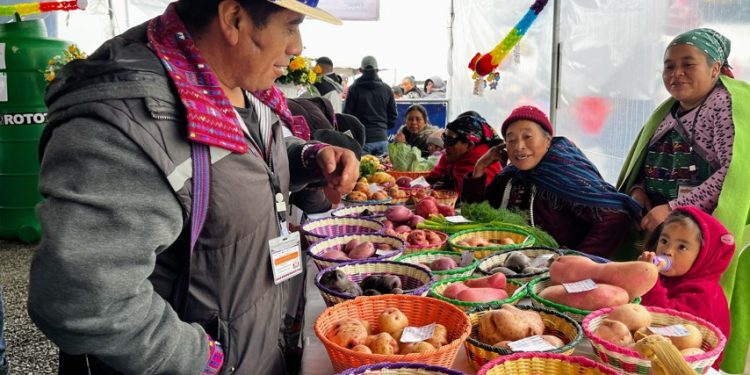 Compromiso con los emprendimientos vinculados al uso sostenible de productos locales en los Cuchumatanes