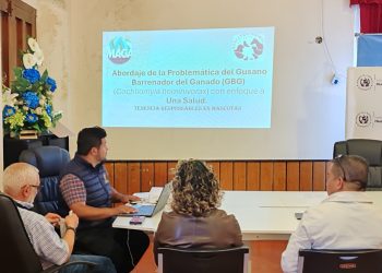 Coordinación para la prevención del gusano barrenador en Huehuetenango