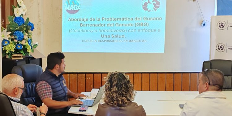 Coordinación para la prevención del gusano barrenador en Huehuetenango