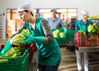 BCIE canaliza 37.6 millones de dólares para fortalecer al sector empresarial, Mipymes y agricultores en Guatemala