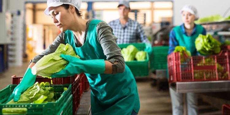 BCIE canaliza 37.6 millones de dólares para fortalecer al sector empresarial, Mipymes y agricultores en Guatemala