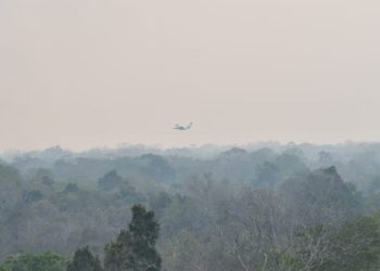 Marn reporta que la calidad del aire se deterioró el siete de diciembre en el Área Metropolitana. (Foto: archivo)