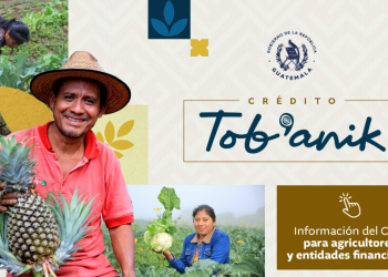 El 66.32% de los agricultores atendidos hasta ahora corresponden a pequeños productores, mientras que 33.68% pertenecen al segmento de medianos. / Foto: MAGA