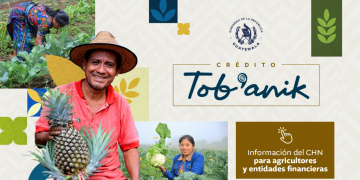 El 66.32% de los agricultores atendidos hasta ahora corresponden a pequeños productores, mientras que 33.68% pertenecen al segmento de medianos. / Foto: MAGA