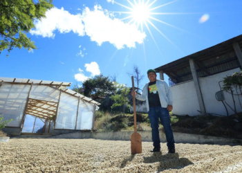 Pequeños productores de café acceden a financiamiento de más de 13 millones de quetzales