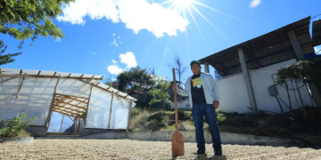 Pequeños productores de café acceden a financiamiento de más de 13 millones de quetzales
