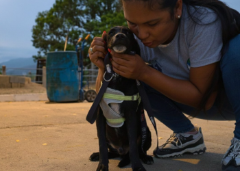 Proteja a las mascotas durante la Quema del Diablo