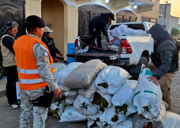 Diprona incauta 69 sacos de musgo extraído ilegalmente en operativo en Salcajá