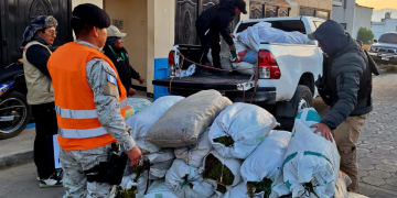 Diprona incauta 69 sacos de musgo extraído ilegalmente en operativo en Salcajá