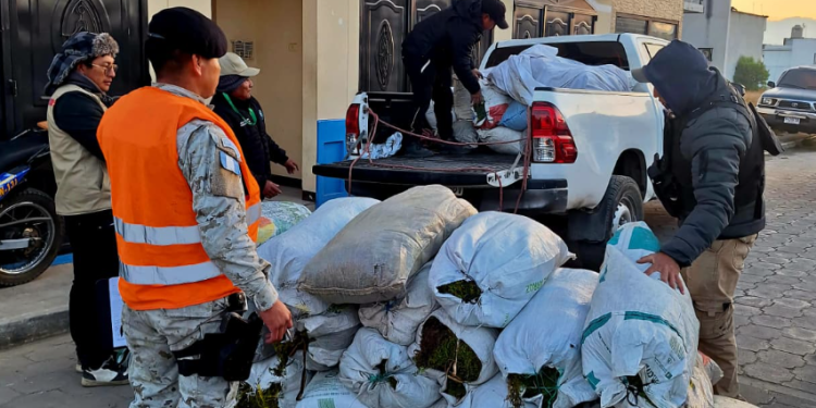 Diprona incauta 69 sacos de musgo extraído ilegalmente en operativo en Salcajá