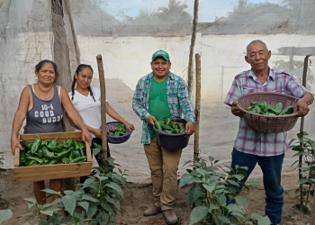 La institución informó que el 91% de las solicitudes presentadas por agricultores ya fueron aprobadas. / Foto: MAGA