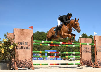 Agenda deportiva de la CDAG para disfrutar este fin de semana