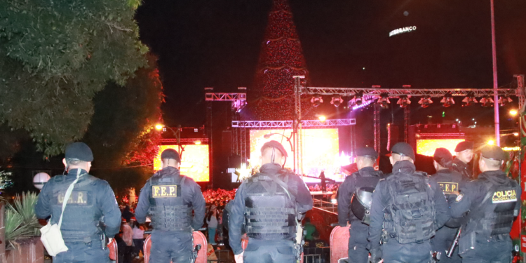 Este despliegue permitirá realizar patrullajes constantes, puestos de control y monitoreo en puntos considerados estratégicos. / Foto: PNC