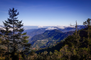 El parque abarca 7 mil 255.40 hectáreas de ecosistemas de alta montaña donde se mantiene uno de los rodales de pinabete más intactos del territorio nacional. / Foto: Analí Camey