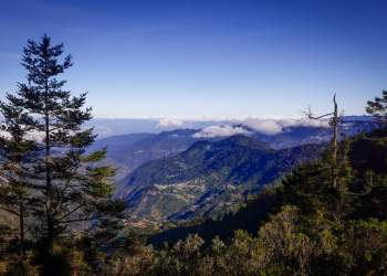 El parque abarca 7 mil 255.40 hectáreas de ecosistemas de alta montaña donde se mantiene uno de los rodales de pinabete más intactos del territorio nacional. / Foto: Analí Camey