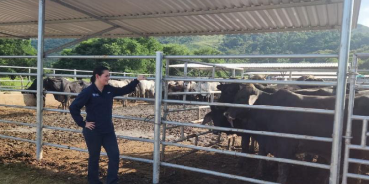 La ministra de Agricultura, Ganadería y Alimentación, María Fernanda Rivera Dávila, supervisó los corrales de inspección pecuaria. / MAGA.