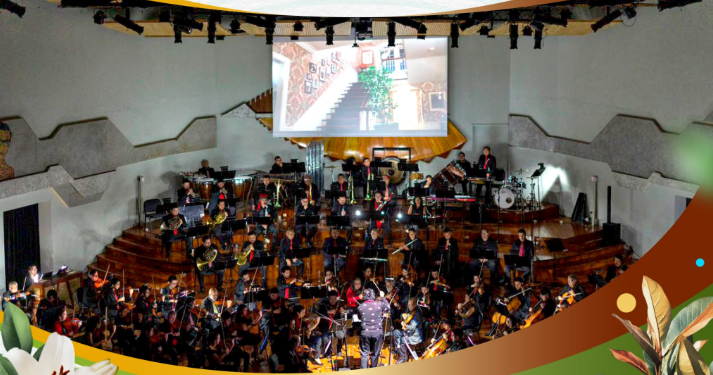 La Orquesta Sinfónica Nacional presentará Home Alone Sinfónico./Foto: MCD.