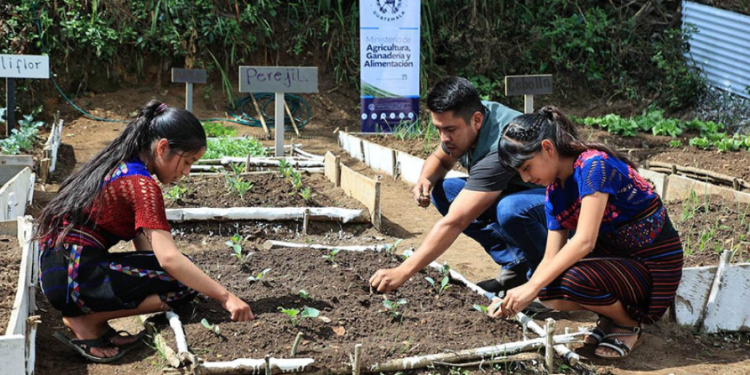 Con estas acciones, el MAGA reafirma su compromiso de impulsar el desarrollo rural y contribuir a la reducción de la inseguridad alimentaria. / Foto: MAGA