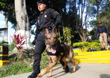Uno de los momentos más destacados fue la demostración operativa táctica, en la que los nuevos binomios ejecutaron. / Foto: Mingob
