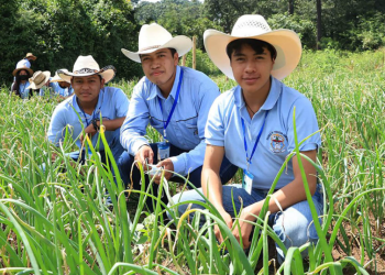 Más de mil jóvenes asistieron a escuelas de formación agrícola del MAGA en 2025