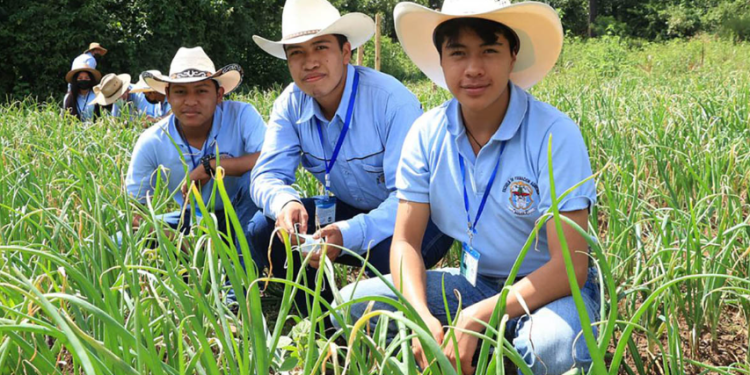 Más de mil jóvenes asistieron a escuelas de formación agrícola del MAGA en 2025