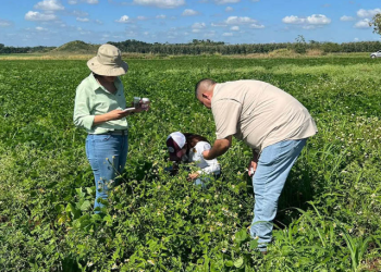 El acceso al financiamiento continúa marcando una diferencia significativa en la vida de los agricultores guatemaltecos. / Foto: MAGA.