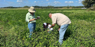 El acceso al financiamiento continúa marcando una diferencia significativa en la vida de los agricultores guatemaltecos. / Foto: MAGA.