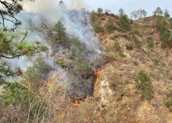 Incendio forestal en Quiché en abril 2025. / Foto: Conred.